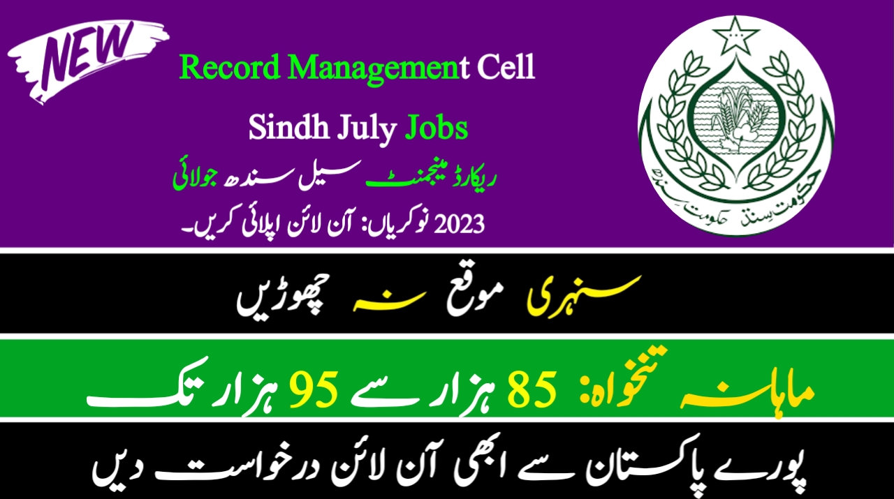 Record Management Cell Sindh July Jobs 2023