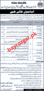 Dispatch Rider Sindh Environmental Protection Agency Latest Jobs 2023