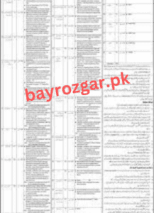 Faisalabad Electric Supply Company Revenue Officer, Assistant Director Jobs In August 2023